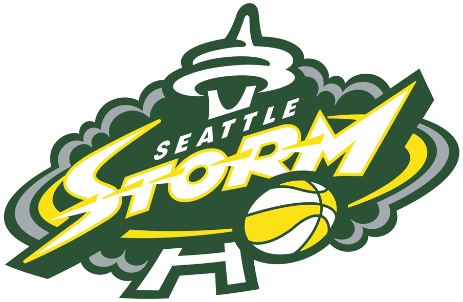 Seattle Storm 2016-Pres Primary Logo iron on heat transfer